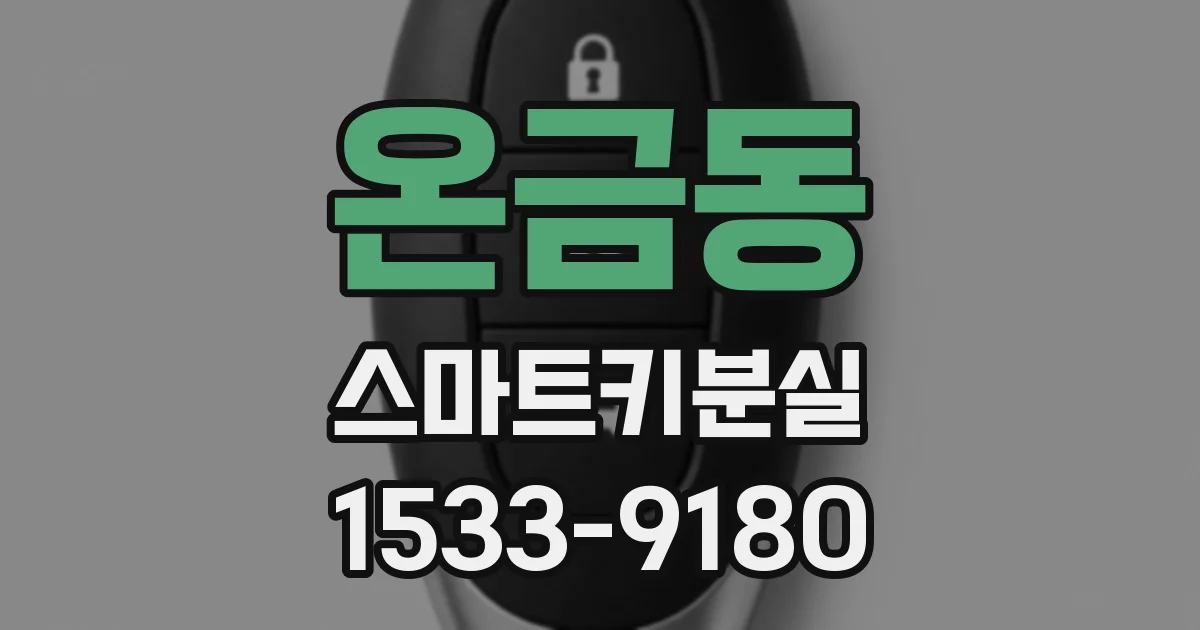 온금동 스마트키분실