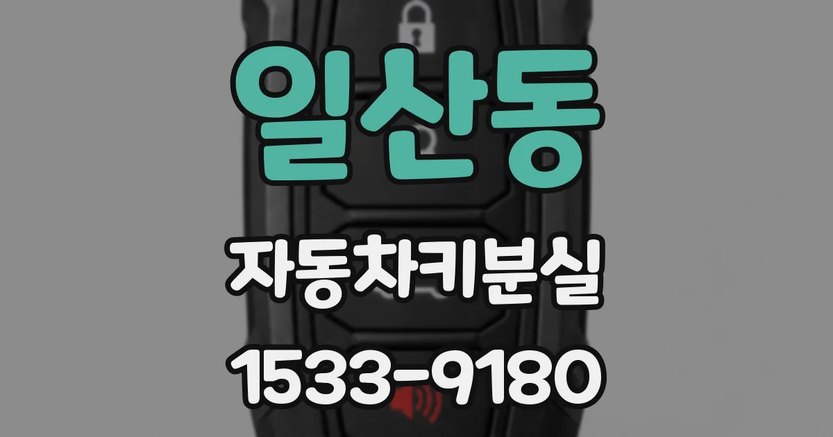 일산동 자동차키분실