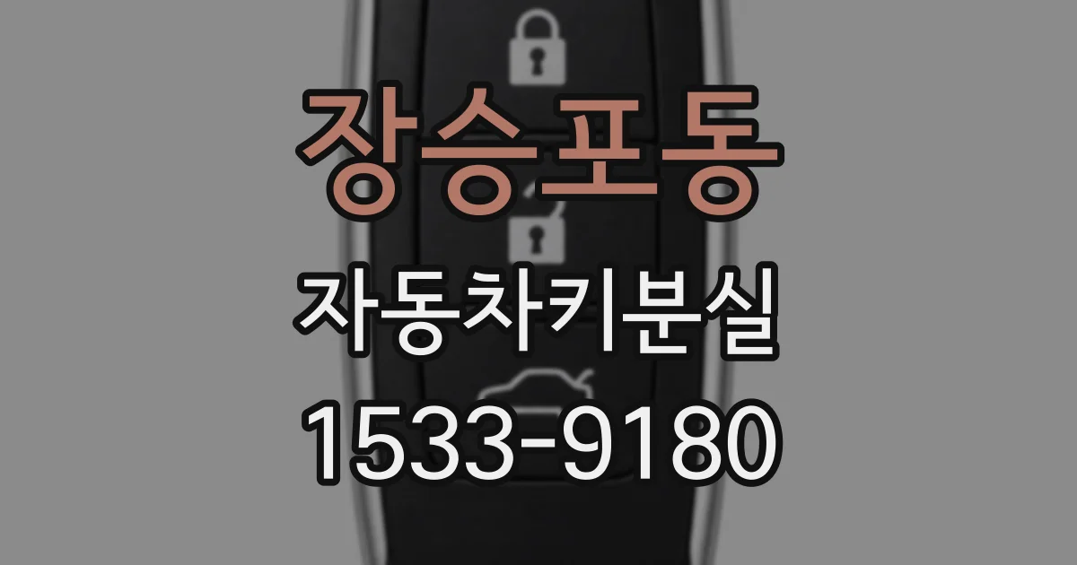 장승포동 자동차키분실