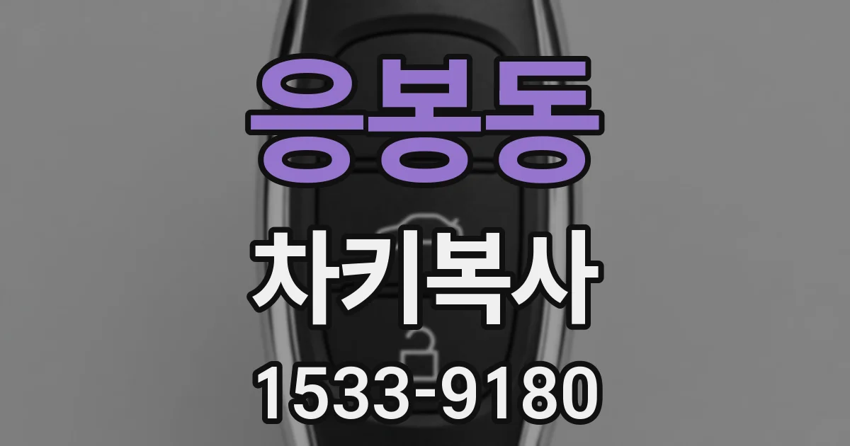 응봉동 차키복사