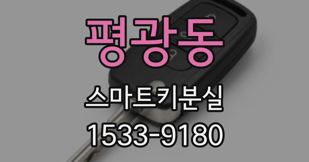 평광동 스마트키분실