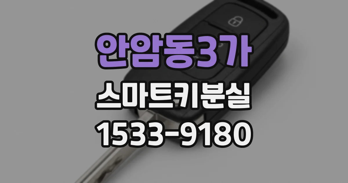 안암동3가 스마트키분실