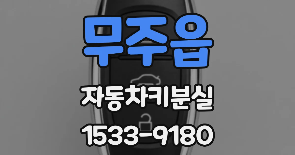 무주읍 자동차키분실