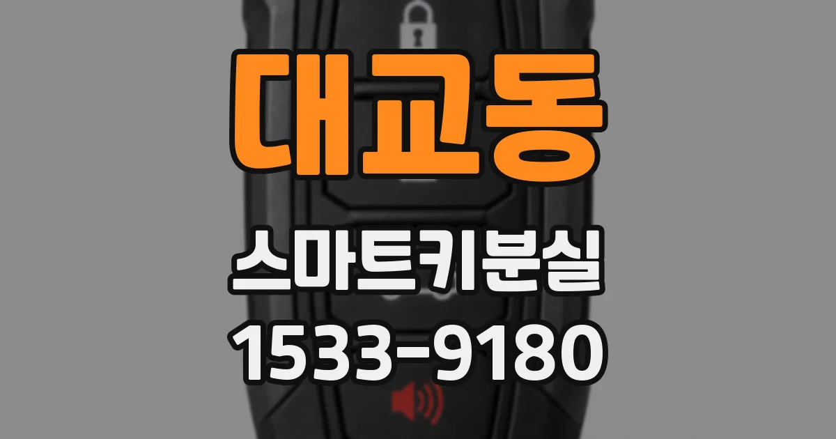 대교동 스마트키분실