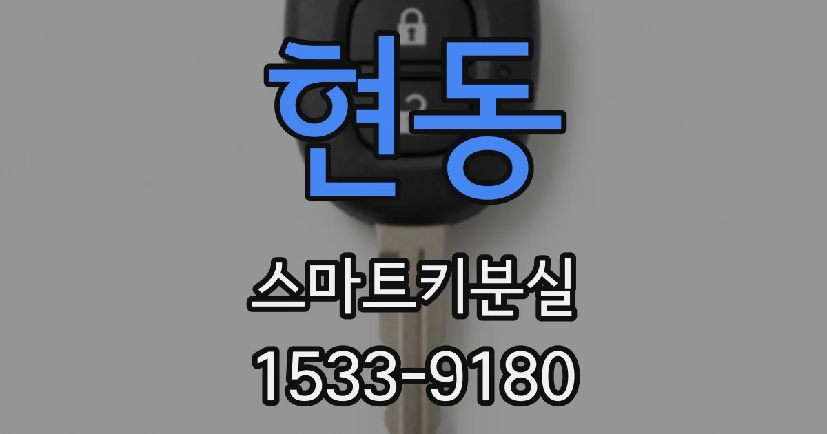 현동 스마트키분실
