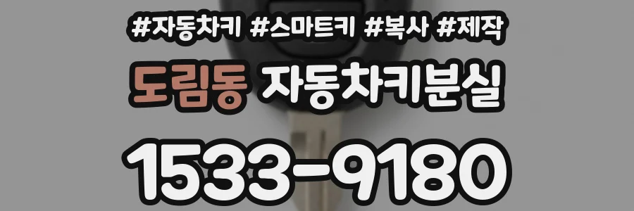 도림동 자동차키분실