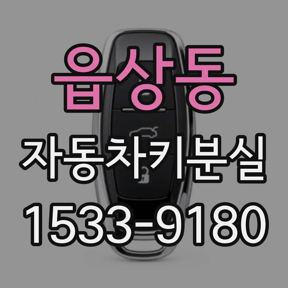 읍상동 자동차키분실