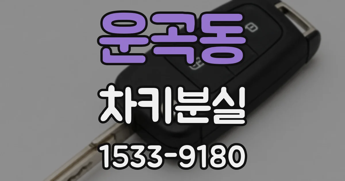 운곡동 차키분실