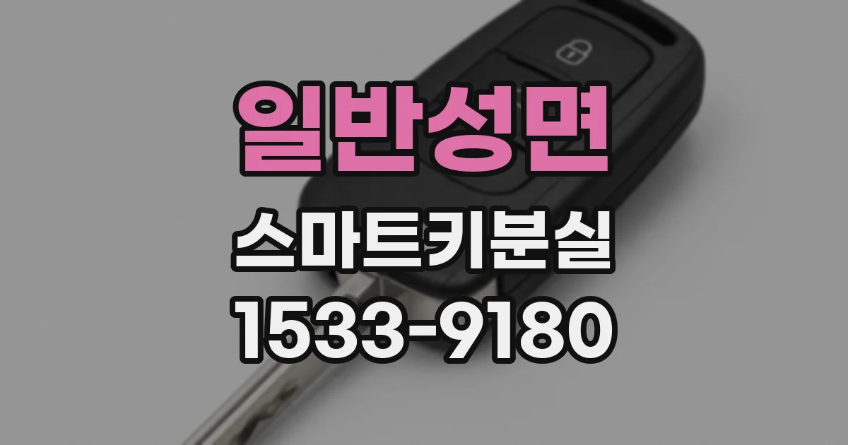 일반성면 스마트키분실