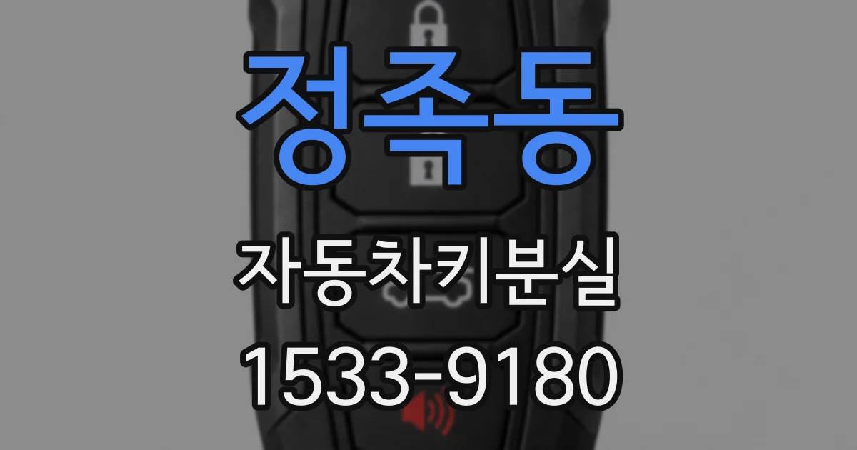 정족동 자동차키분실