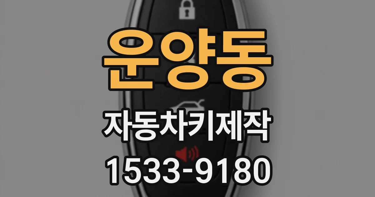 운양동 자동차키제작