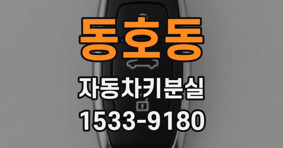 동호동 자동차키분실