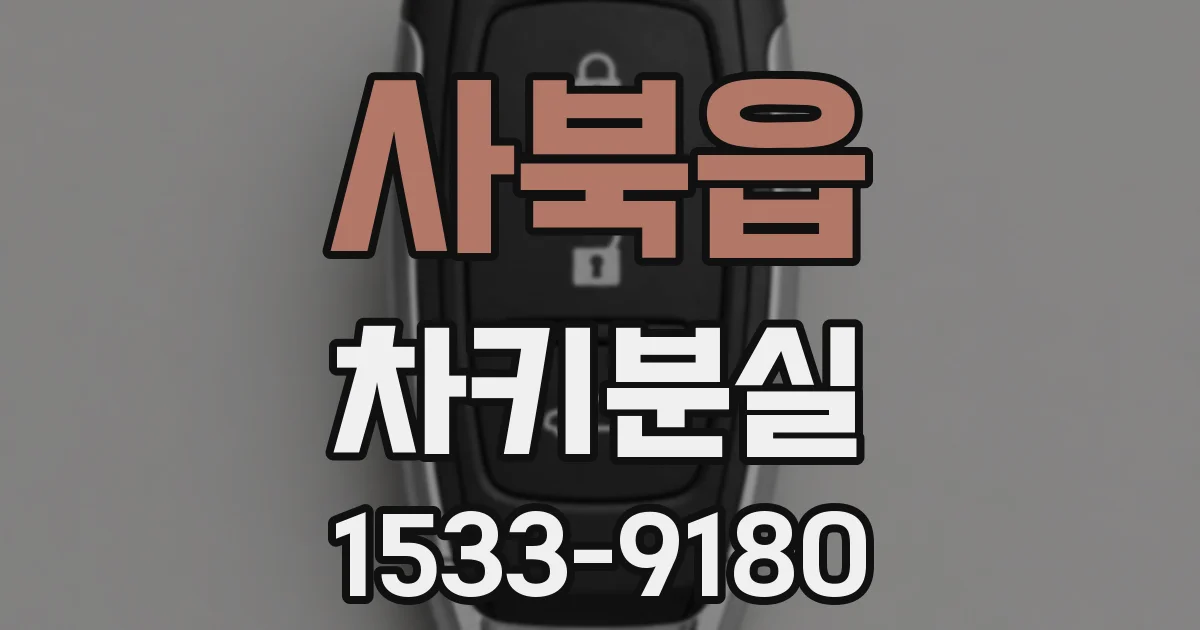 사북읍 차키분실