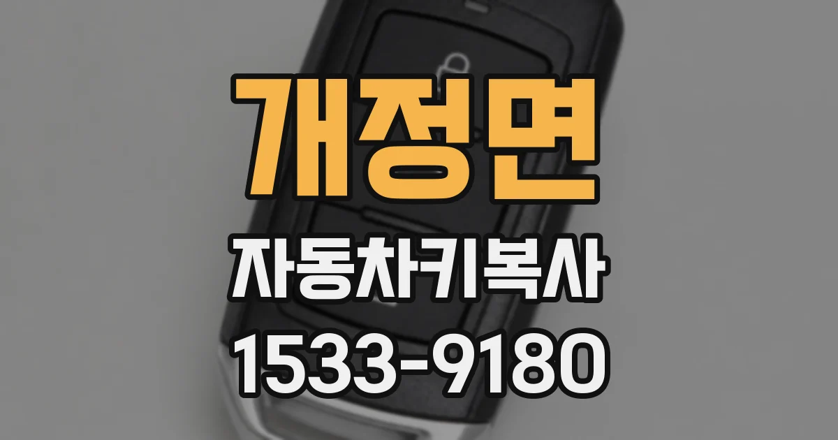 개정면 자동차키복사