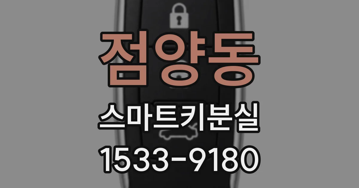 점양동 스마트키분실