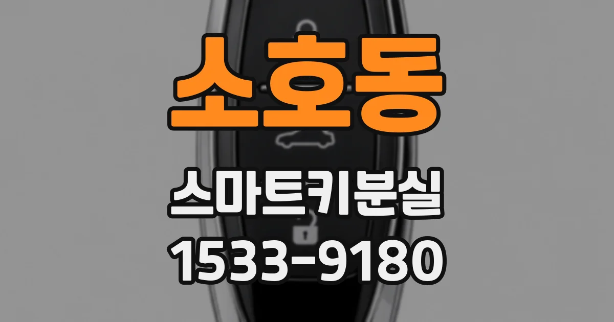 소호동 스마트키분실