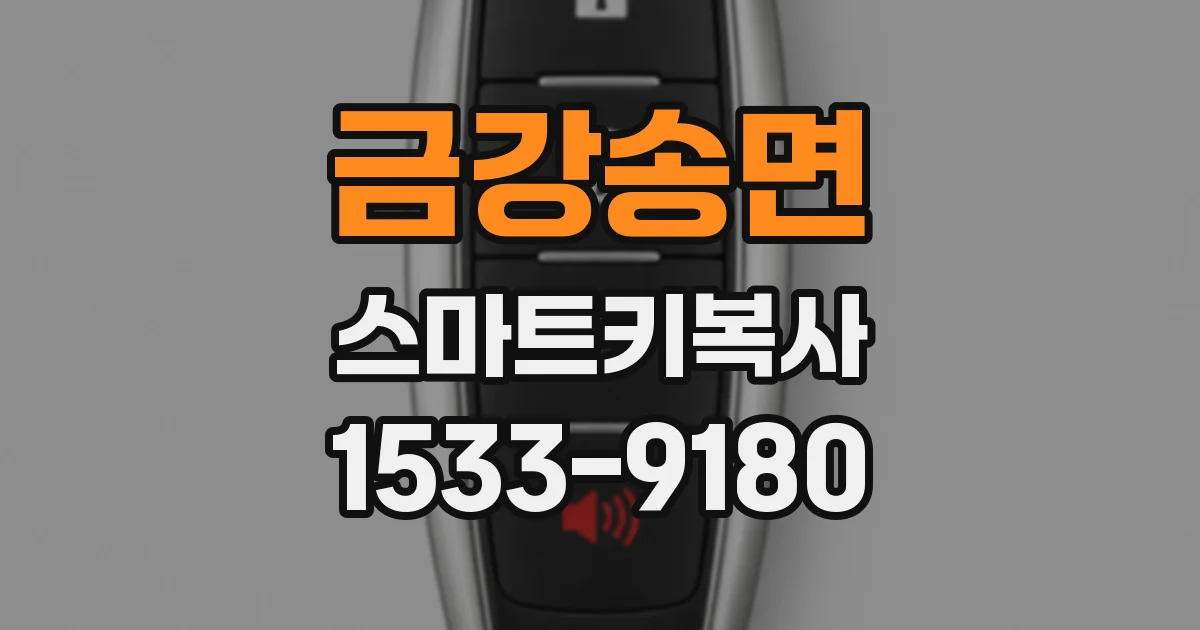 금강송면 스마트키복사