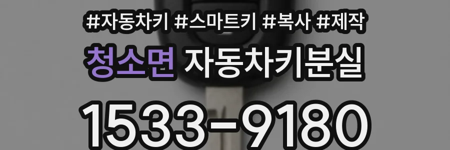 청소면 자동차키분실