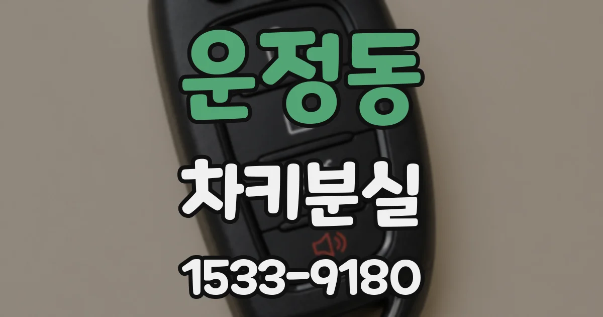 운정동 차키분실