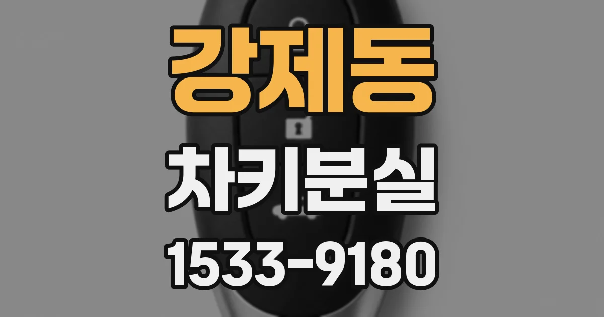 강제동 차키분실