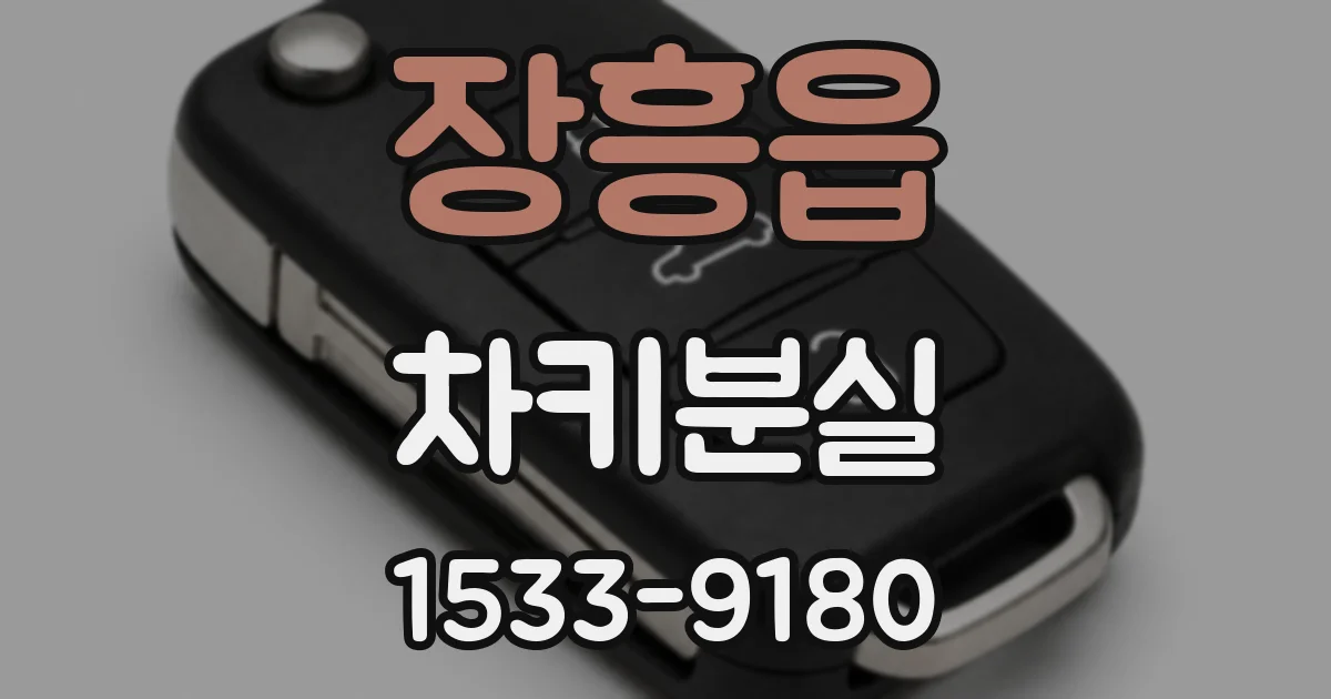 장흥읍 차키분실