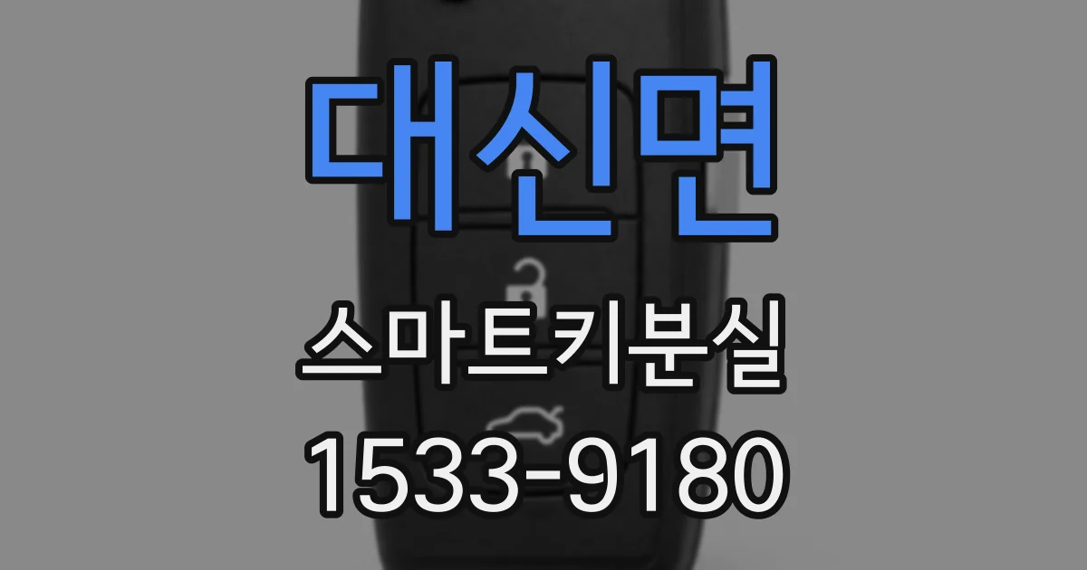 대신면 스마트키분실