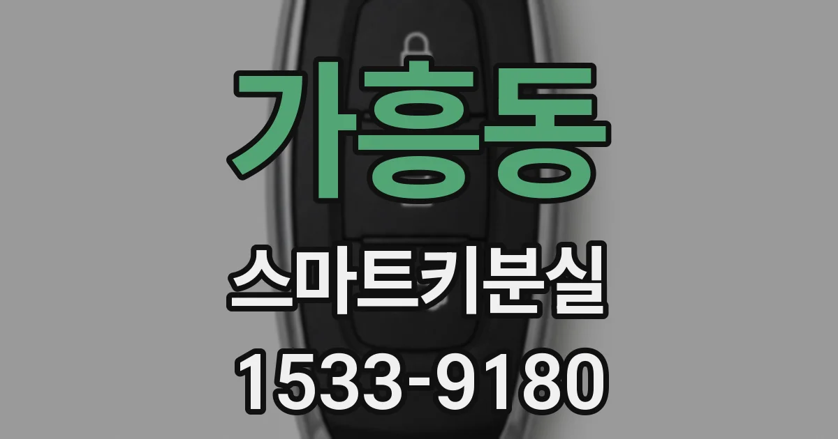 가흥동 스마트키분실
