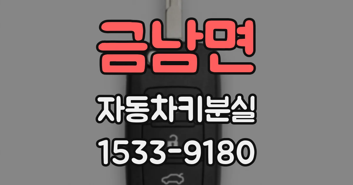 금남면 자동차키분실