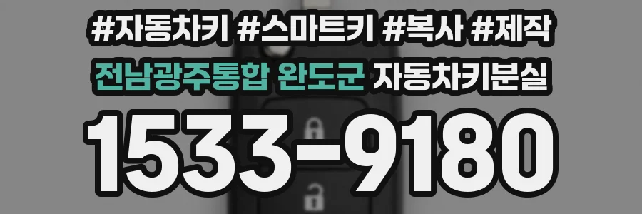 전남광주통합 완도군 자동차키분실