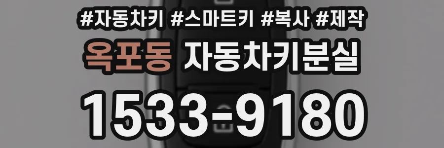 옥포동 자동차키분실