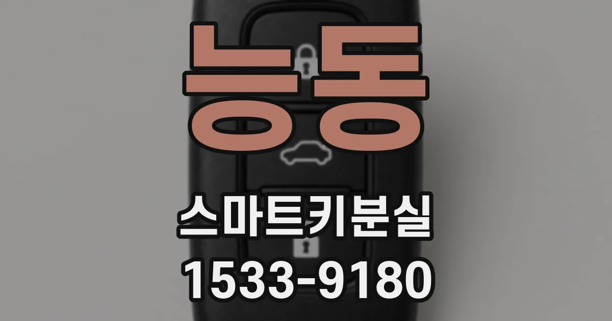 능동 스마트키분실