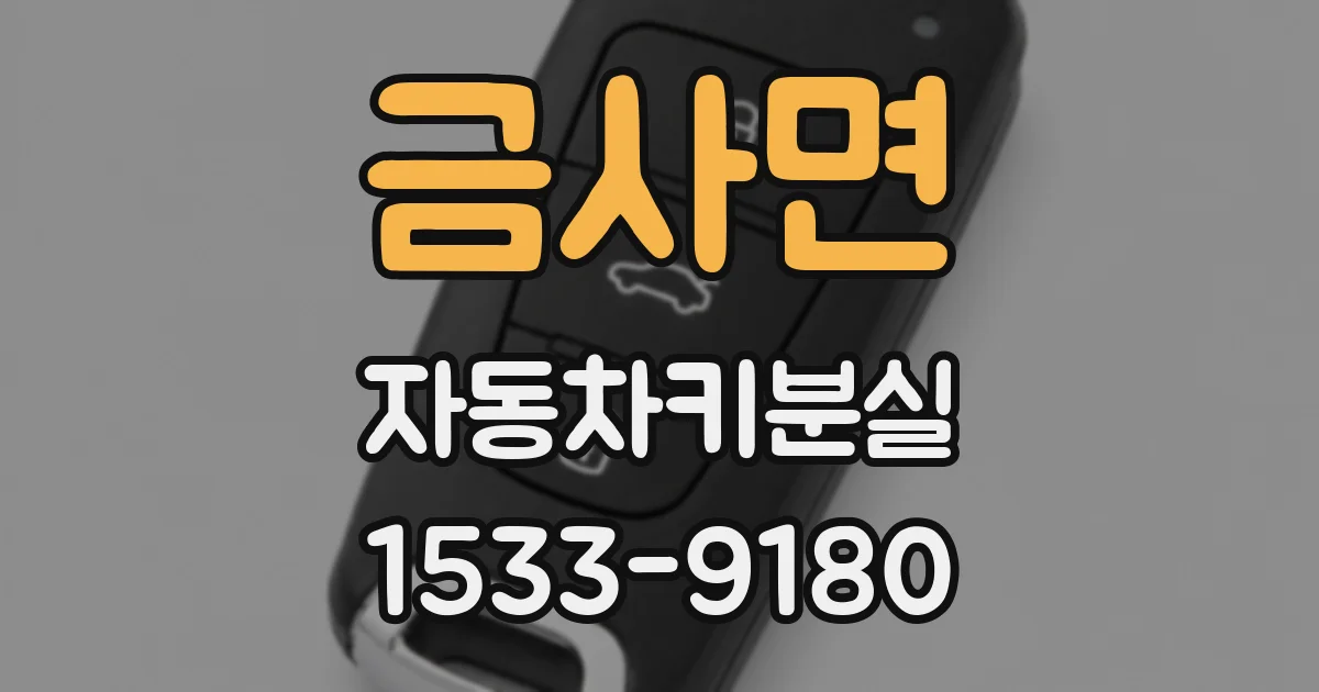 금사면 자동차키분실