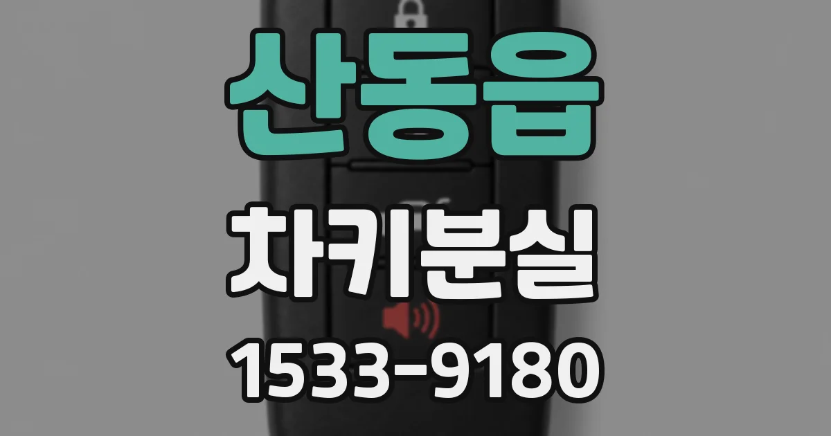 산동읍 차키분실