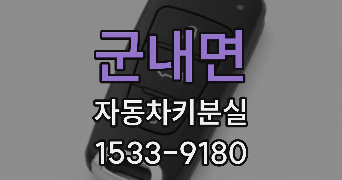 군내면 자동차키분실