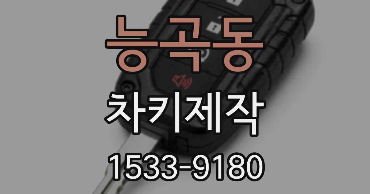 능곡동 차키제작