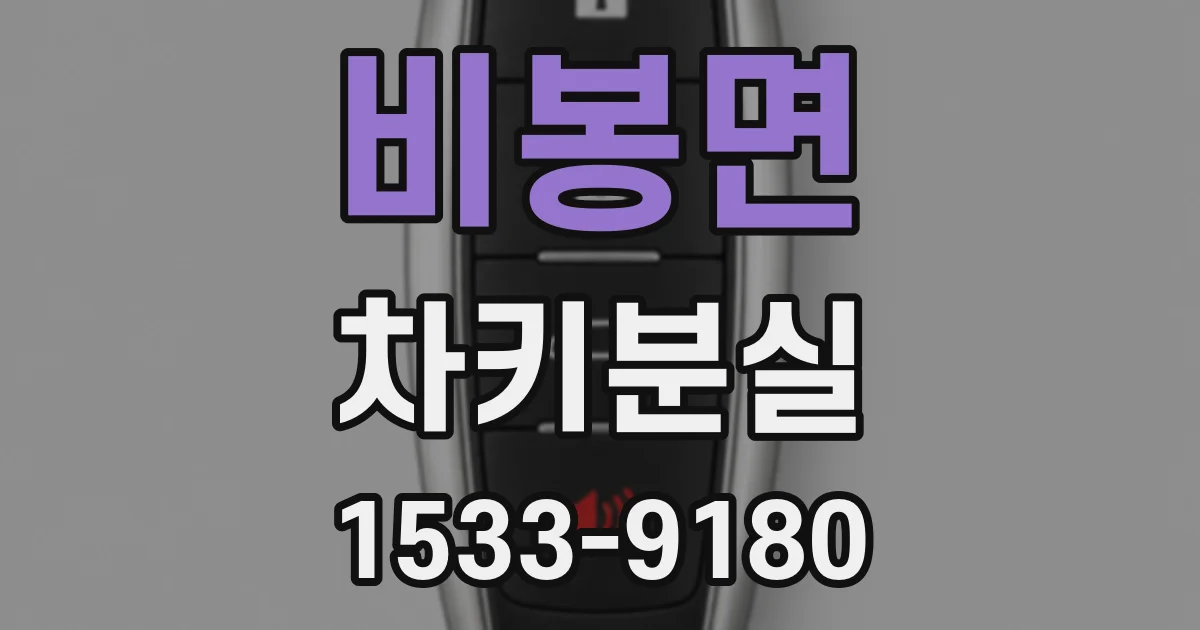 비봉면 차키분실