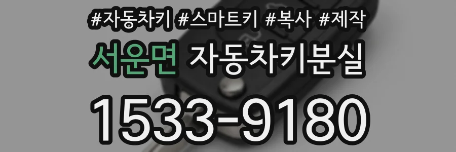 서운면 자동차키분실