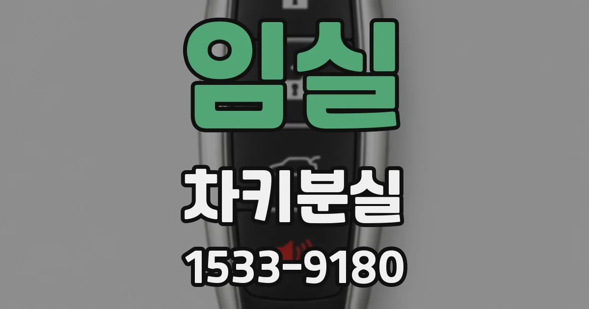 임실 차키분실