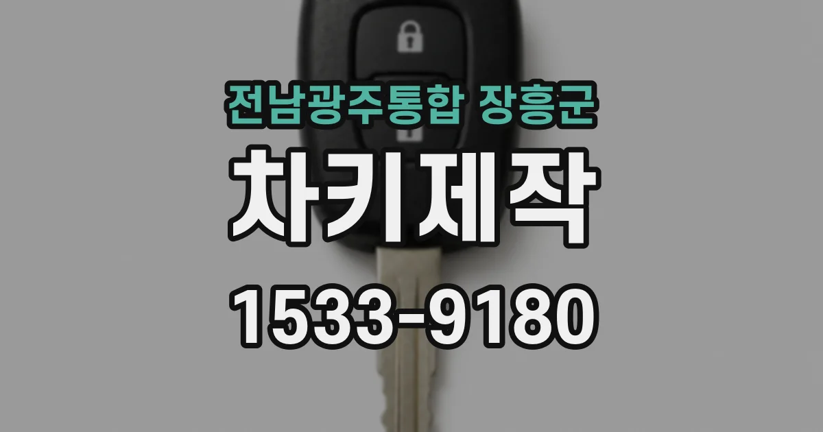 전남광주통합 장흥군 차키제작