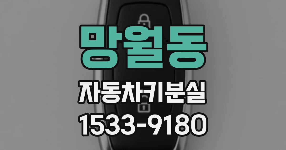 망월동 자동차키분실