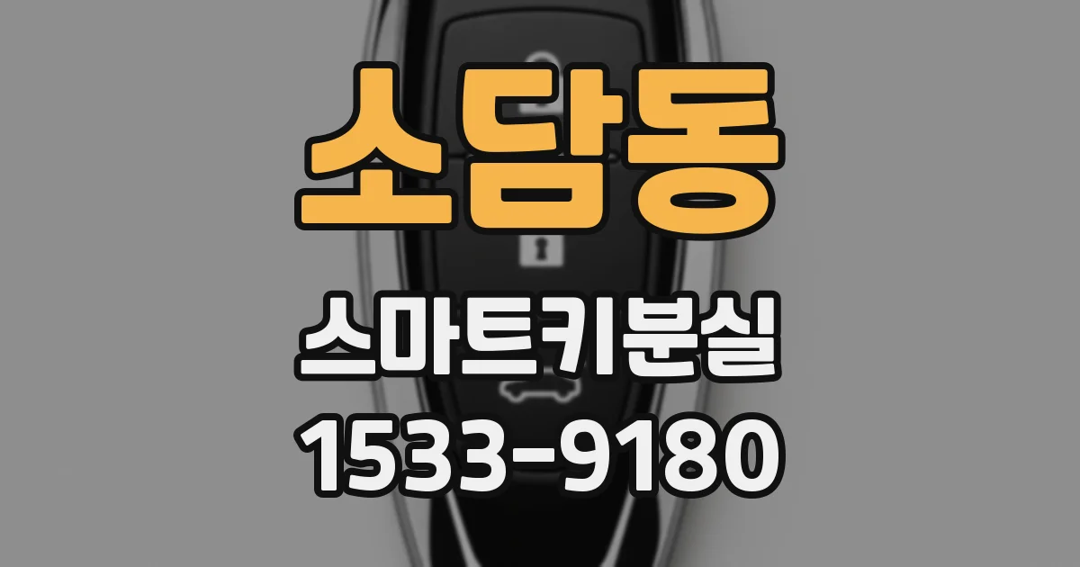 소담동 스마트키분실