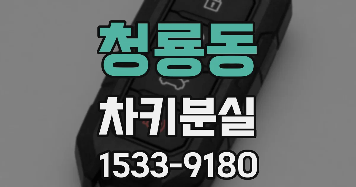 청룡동 차키분실