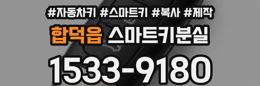 합덕읍 스마트키분실