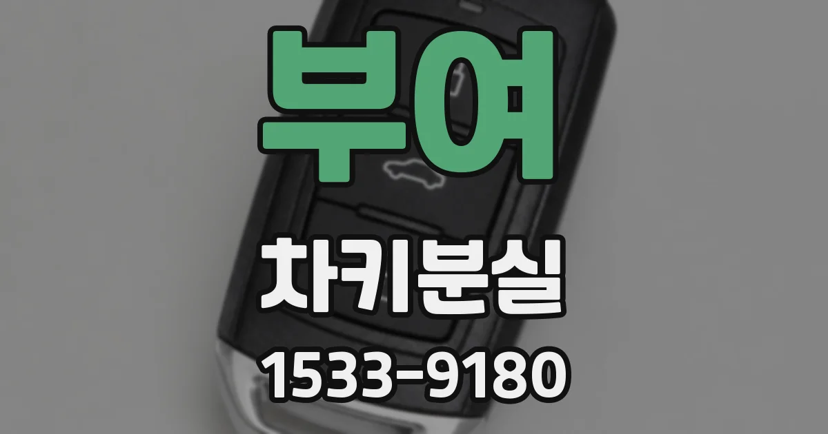 부여 차키분실