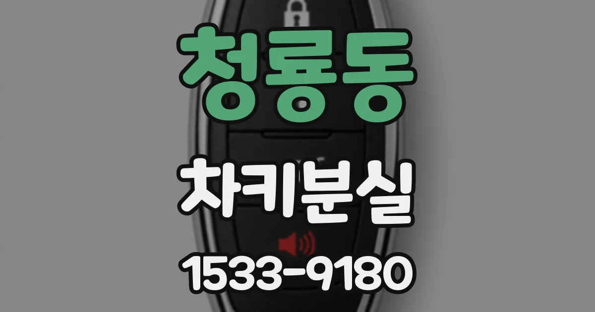 청룡동 차키분실