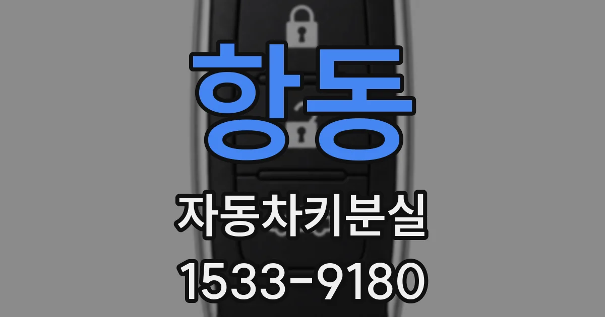 항동 자동차키분실