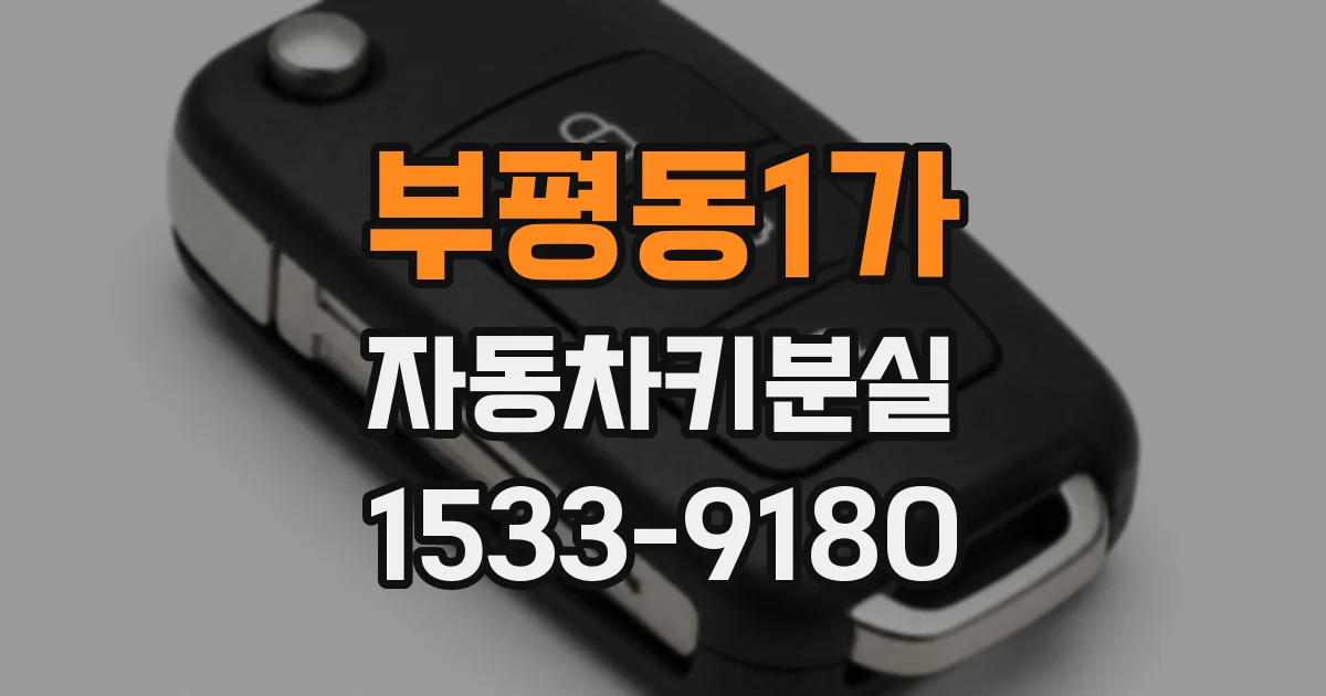 부평동1가 자동차키분실