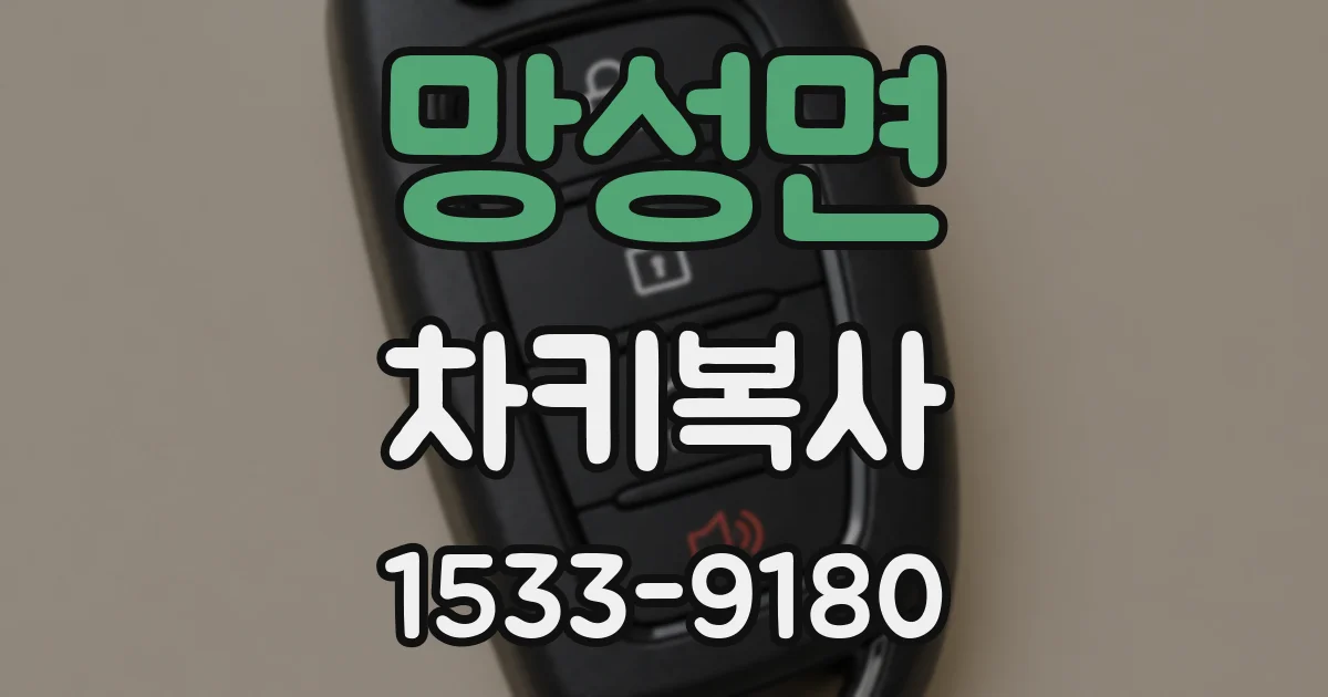 망성면 차키복사