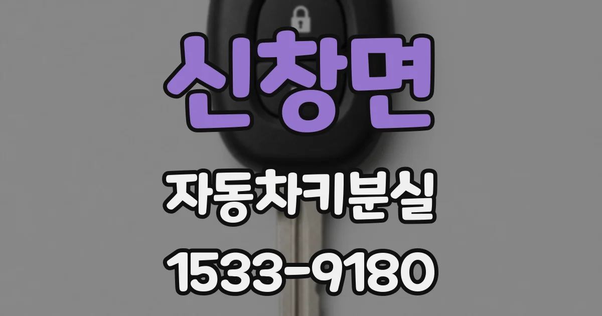 신창면 자동차키분실