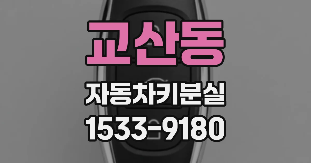 교산동 자동차키분실